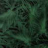 Zielona fototapeta w duże liście palmy 