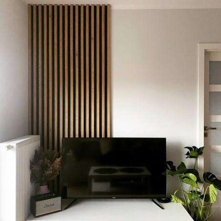 lamele za tv aranżacje 