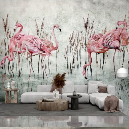 Fototapeta w różowe flamingi - Fenicottero