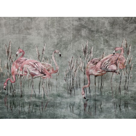 Fototapeta na ścianę flamingi różne  kolory 3D