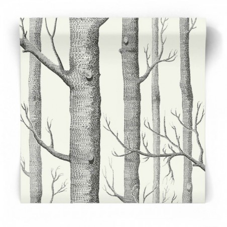 Tapeta Woods 69/12147