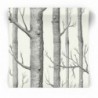 Tapeta Woods 69/12147