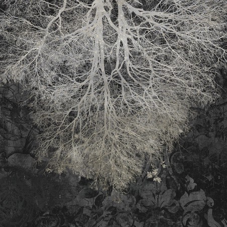 Czarna fototapeta z drzewem MU12031