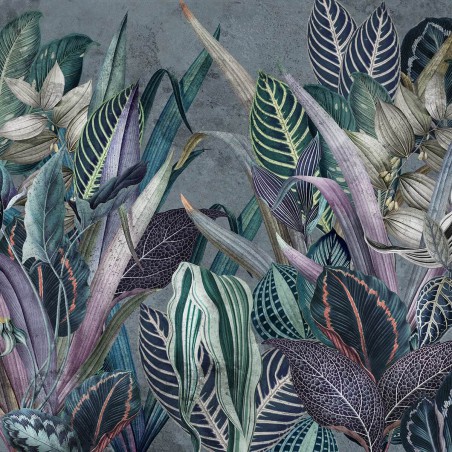 Fototapeta na wymiar rośliny