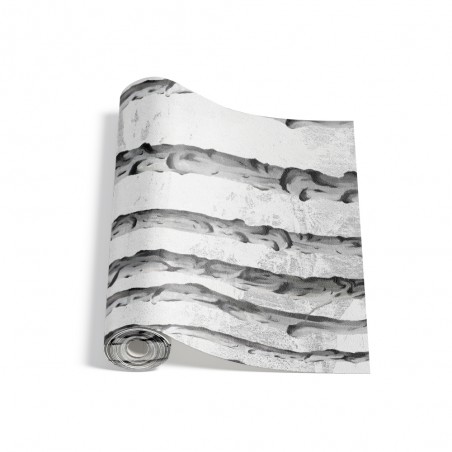 Fototapeta brzozy