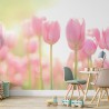 Fototapeta w różowe tulipany