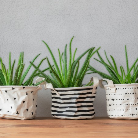 biała tapeta do kuchni 205