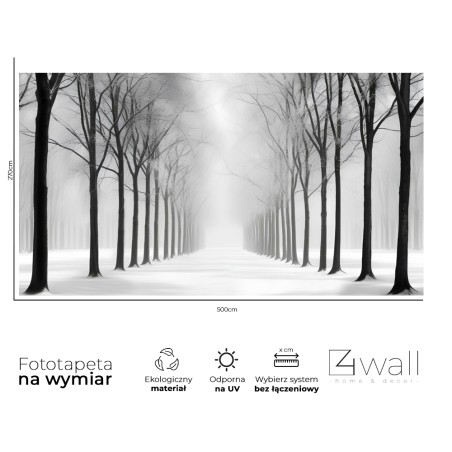 Fototapeta 3D drzewa las we mgle na ścianę