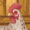 Fototapeta do pokoju dziecięcego - farma ze zwierzętami