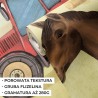 Fototapeta do pokoju dziecięcego - farma ze zwierzętami